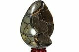Septarian Dragon Egg Geode - Black Crystals #111229-1